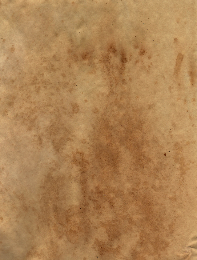 stained_paper_4.jpg - L+T