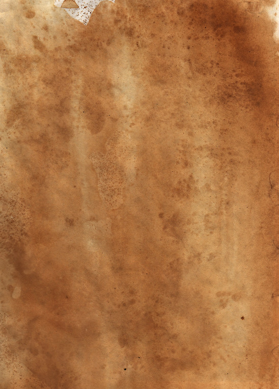 stained_paper_5.jpg - L+T